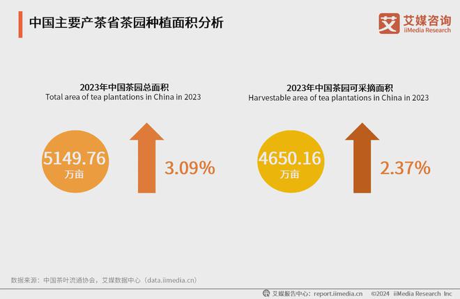 025年中国茶叶产业发展及消费者洞察行业报告AG真人九游会登录网址艾媒咨询｜2024-2(图15)